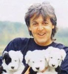 [Picture of Paul McCartney]